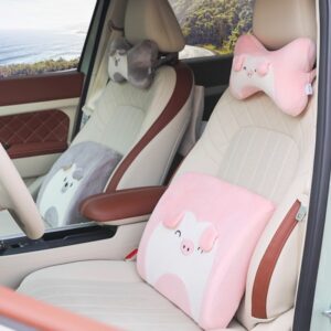 Car Lumbar Pillow